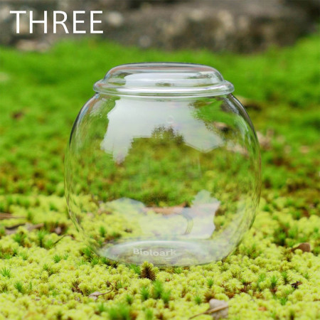 Мини биобутылка Bioloark Bubble Cup Three