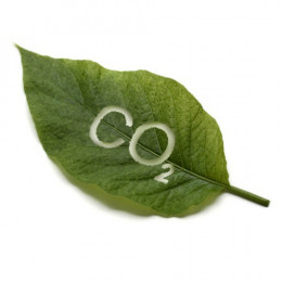 Заправка баллона углекислотой Заправка баллона углекислотой