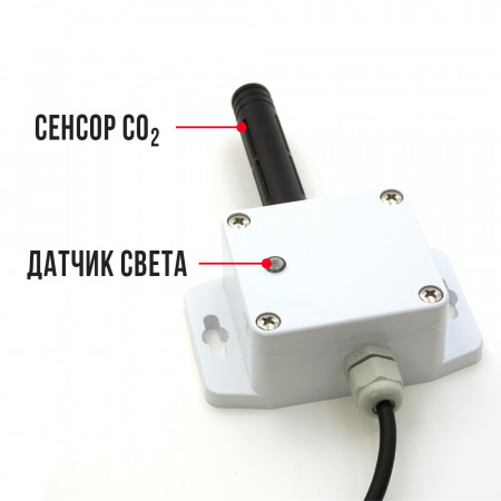 Контроллер для теплицы Co2 Aqua (с выносным датчиком и управляемой розеткой)