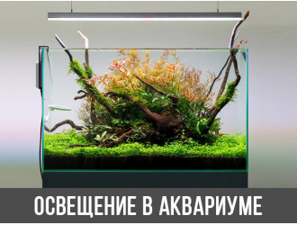 Светодиодное освещение аквариума. Переходить на него или нет?