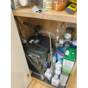 Мох Тамарассер - Moss sp. Thamarassery Мох Тамарассер - Moss sp. Thamarassery