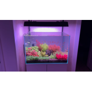 Проточный реактор Со2 Миди с байпасом