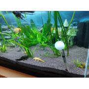 Проппант эко-грунт для аквариума - 10 кг Проппант эко-грунт для аквариума - 10 кг