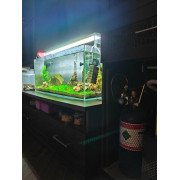 Система СО2 для аквариума Профи Система СО2 для аквариума Профи