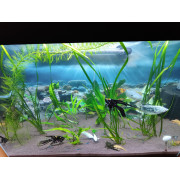 Проппант эко-грунт для аквариума - 10 кг Проппант эко-грунт для аквариума - 10 кг