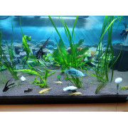 Проппант эко-грунт для аквариума - 10 кг Проппант эко-грунт для аквариума - 10 кг