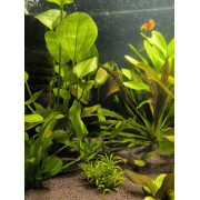 Проппант эко-грунт для аквариума - 10 кг Проппант эко-грунт для аквариума - 10 кг