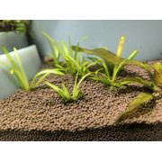 Проппант эко-грунт для аквариума - 10 кг Проппант эко-грунт для аквариума - 10 кг