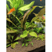 Проппант эко-грунт для аквариума - 10 кг Проппант эко-грунт для аквариума - 10 кг