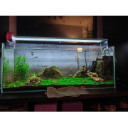 Аквариум Optiwhite на заказ по вашим размерам