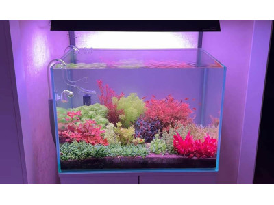 Видеообзор проточного реактора Миди с байпасом на канале Сергея Зиборова