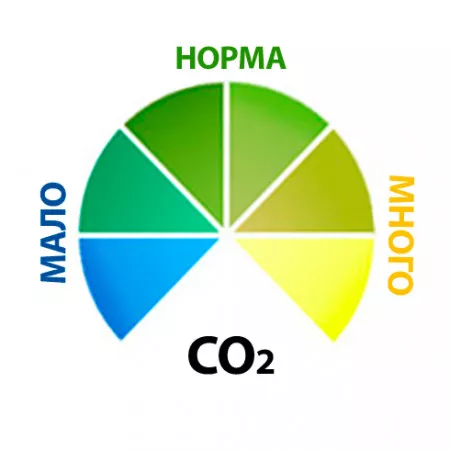 Длительный тест CO2 - 20 мл. Длительный тест CO2 - 20 мл.