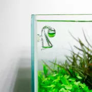 Длительный тест CO2 - 20 мл.