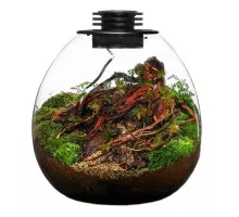Биобутылка Bioloark LED PD 210