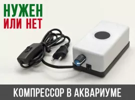 Нужен ли компрессор в аквариуме?