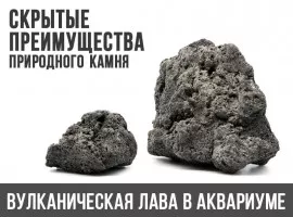 Лава в аквариуме. Скрытые преимущества этого природного камня.