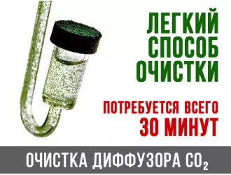 Простой способ очистки диффузора Со2 