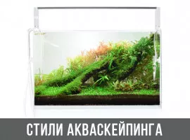 Стили в акваскейпинге. Основные направления.