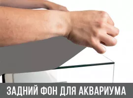 Задний фон для аквариума. Как приклеить аквариумный фон?