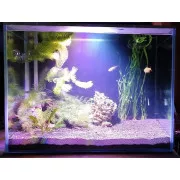 Аквариум Optifloat 600*450*450 - 121 литр