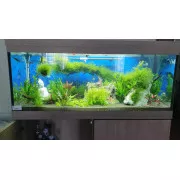 Система СО2 для аквариума Профи