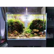 Oase BioMaster 350 - внешний фильтр для аквариумов до 350 литров