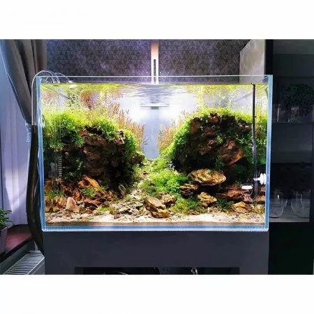 Oase BioMaster 350 - внешний фильтр для аквариумов до 350 литров Oase BioMaster 350 - внешний фильтр для аквариумов до 350 литров
