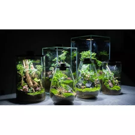 Биобутылка Bioloark LED PD 170