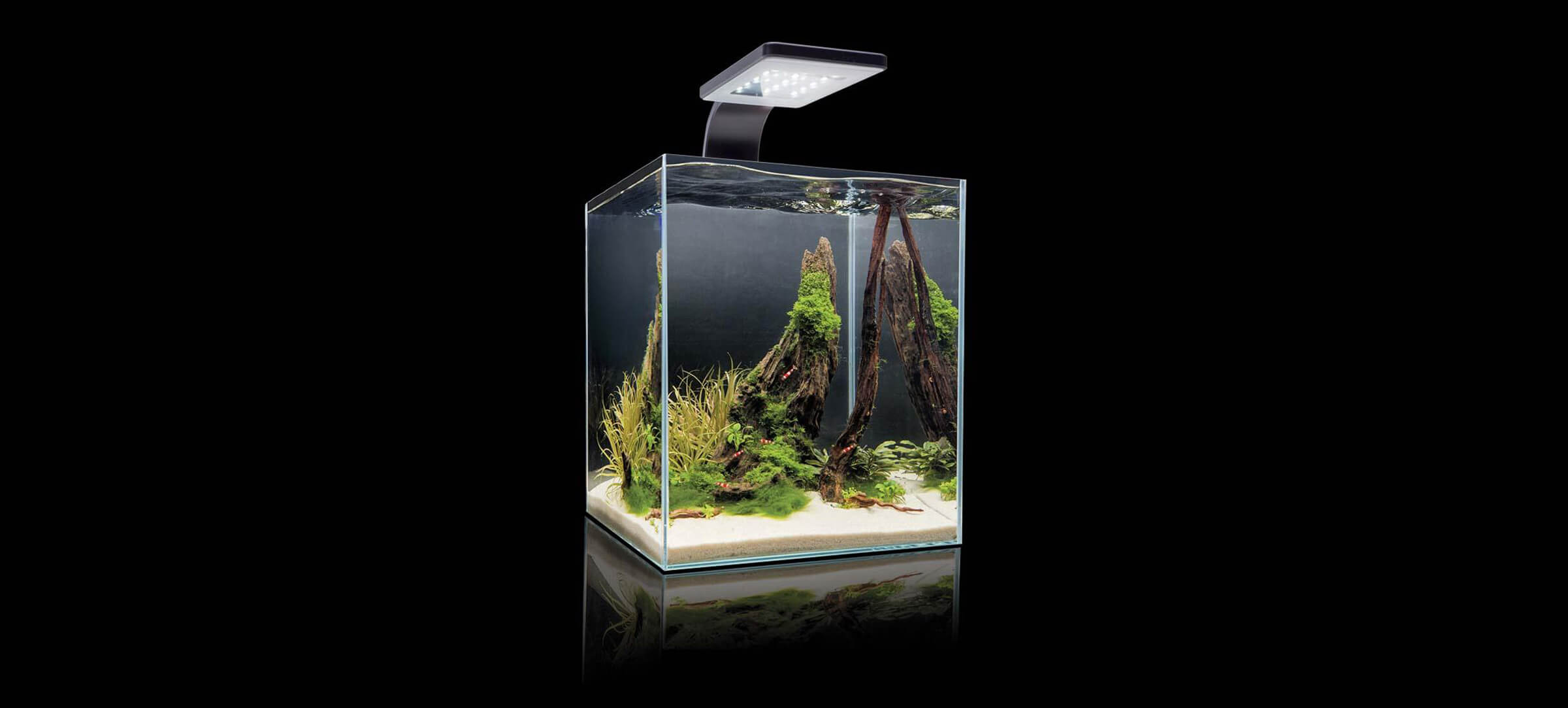 Нано аквариум