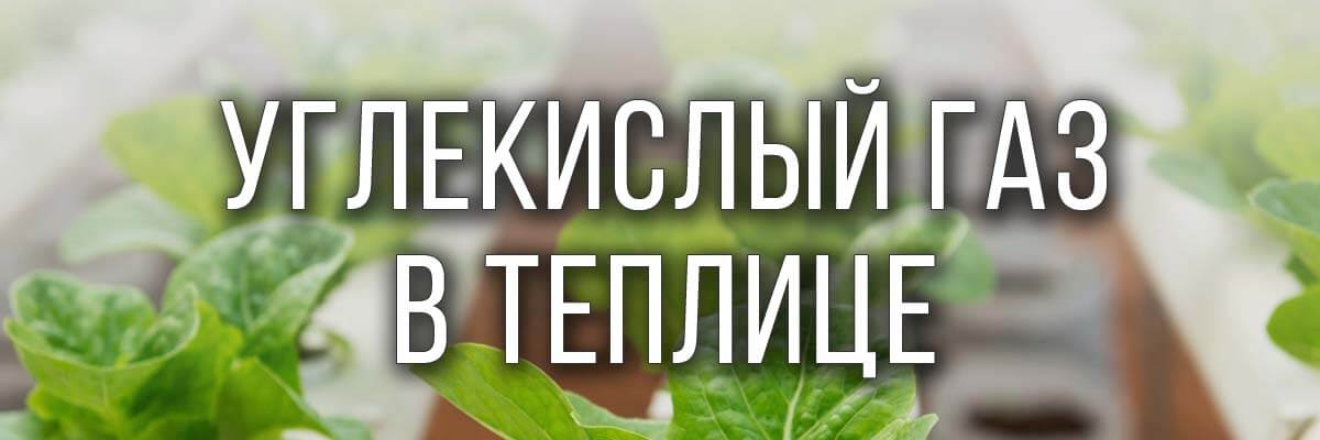 Уровень CO2 в теплице | ЭКСПРЕСС-АГРО