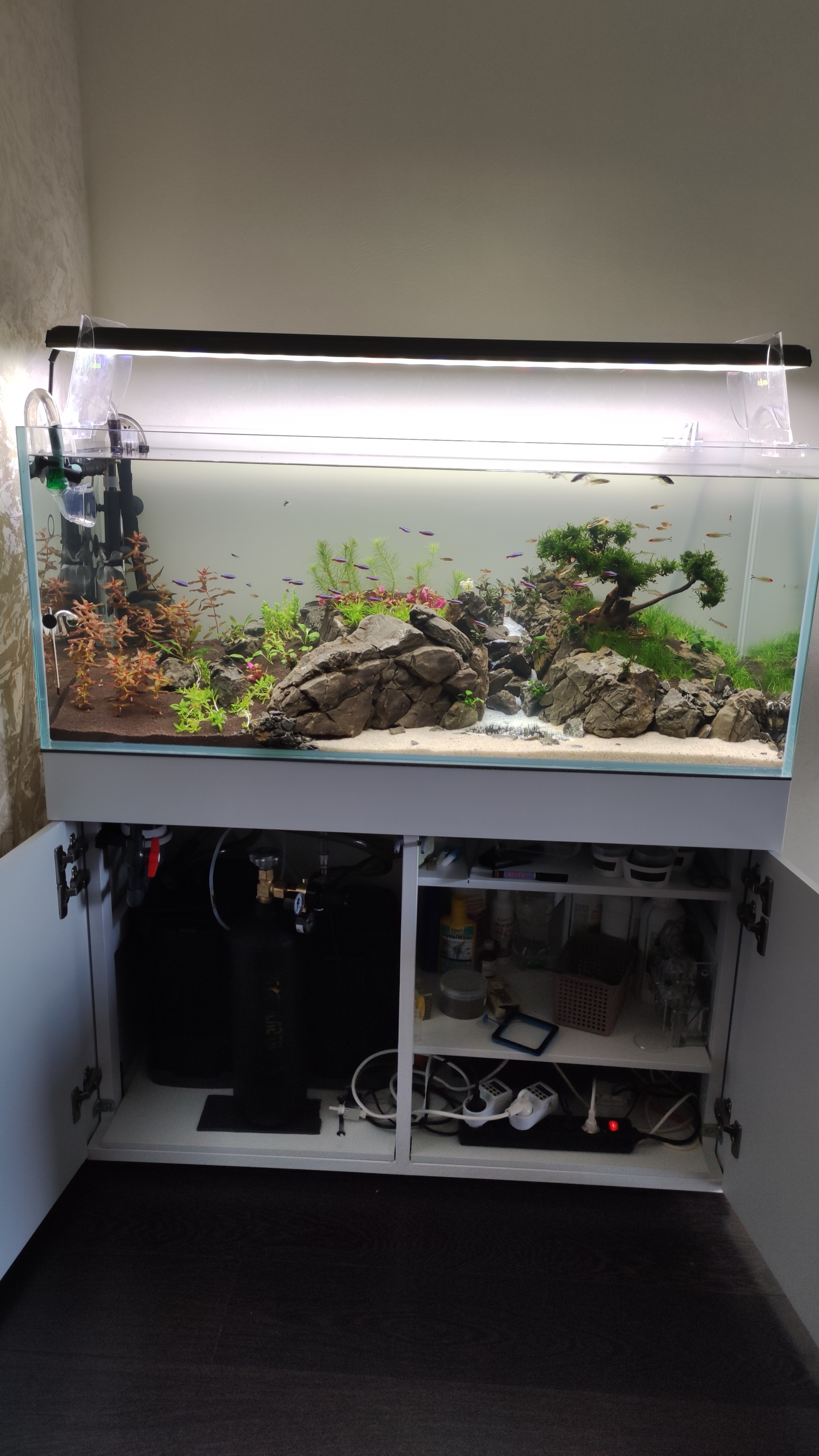 Аквариум Anubias F-1200 (300л)