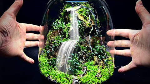 Mini Waterfall Terrarium Anyone Can Make!